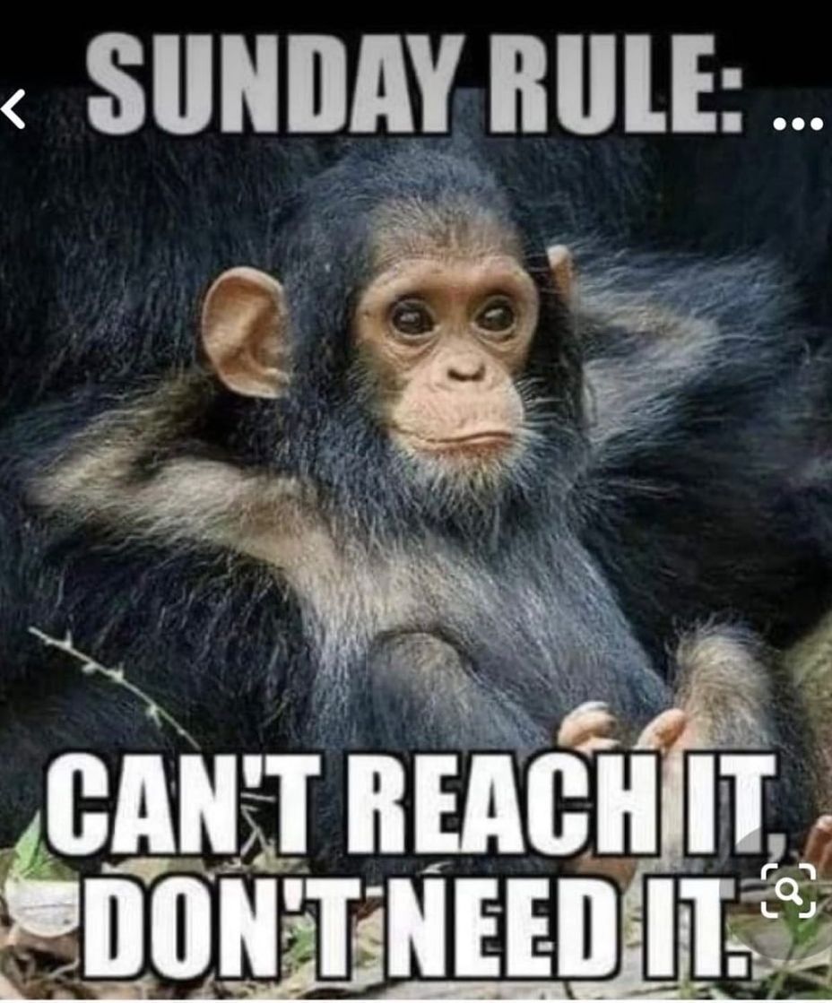 <p>Sunday Rule</p>