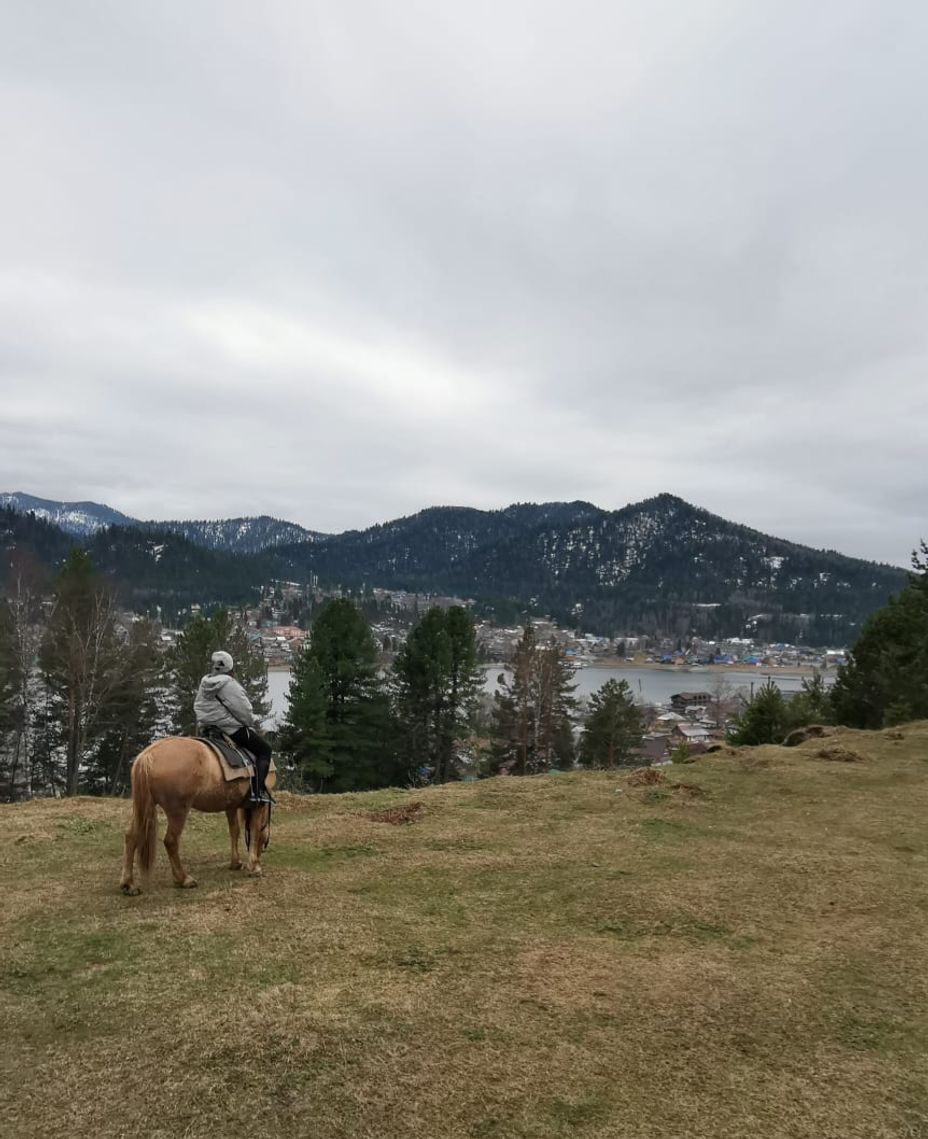 <p>A horse and me🐎🤍</p>