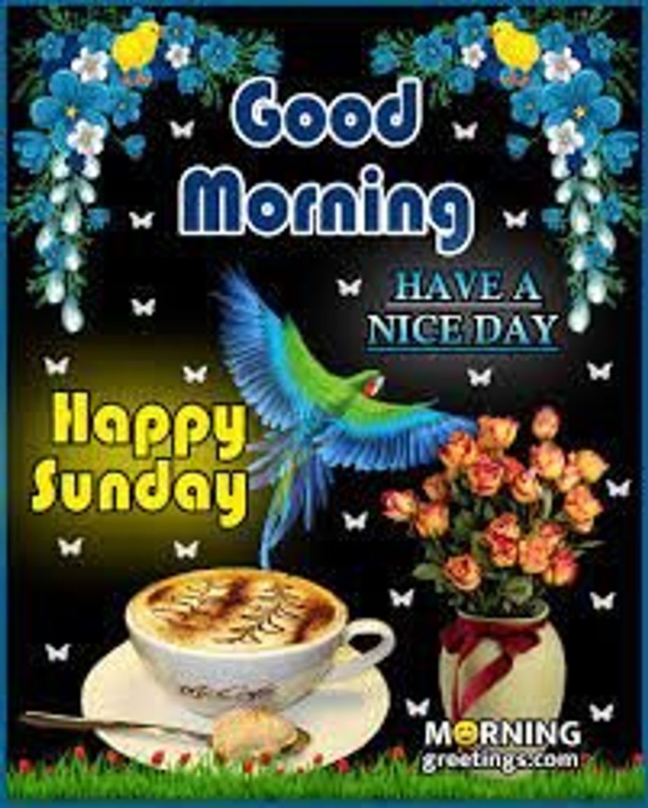 <p>Good morning, have a blessed day.</p>