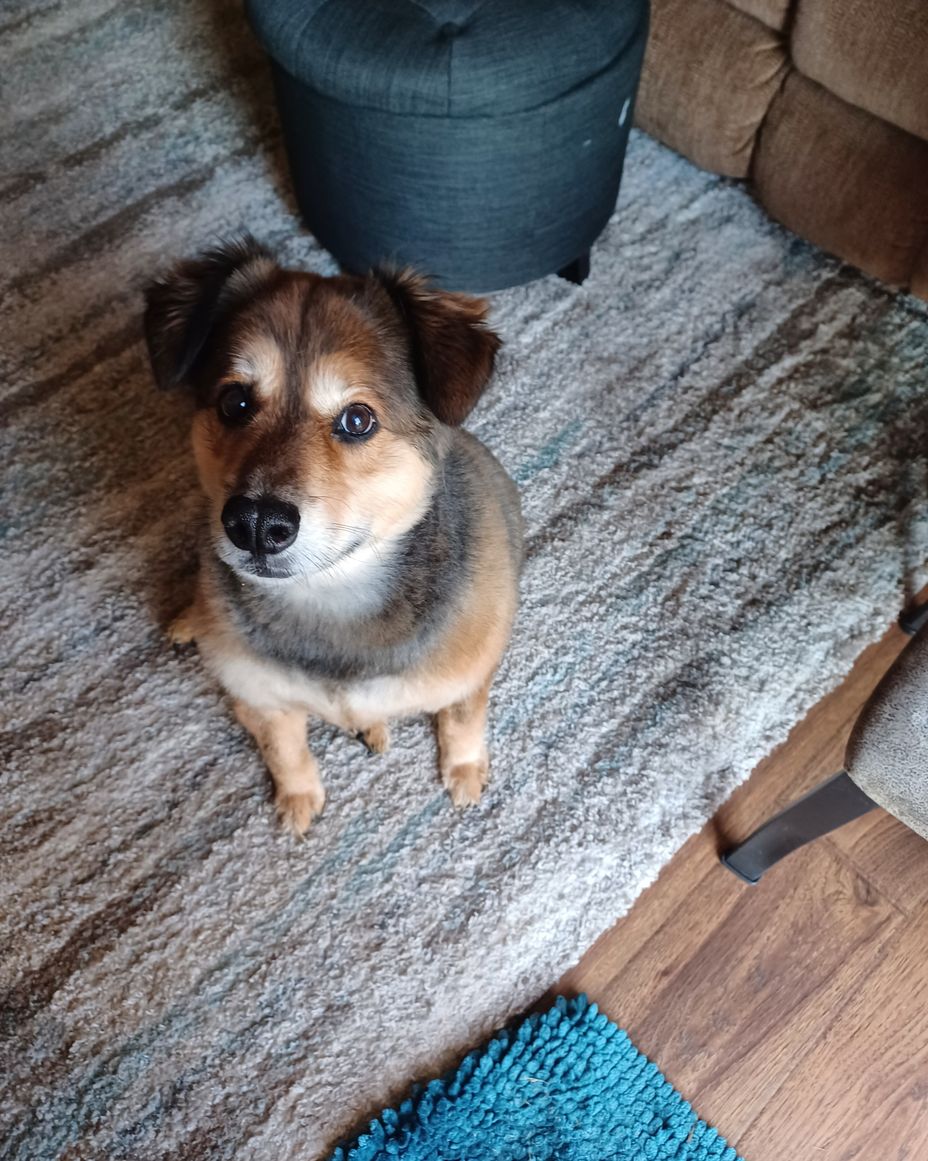 bedbound Signs, Symptoms, Support