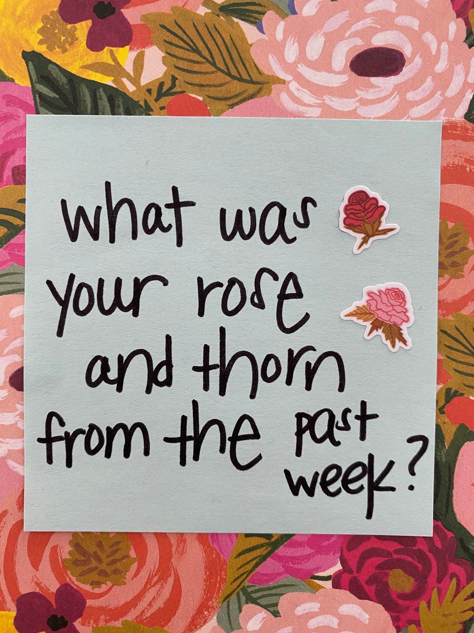 <p>What was your rose and thorn from the past week?</p>