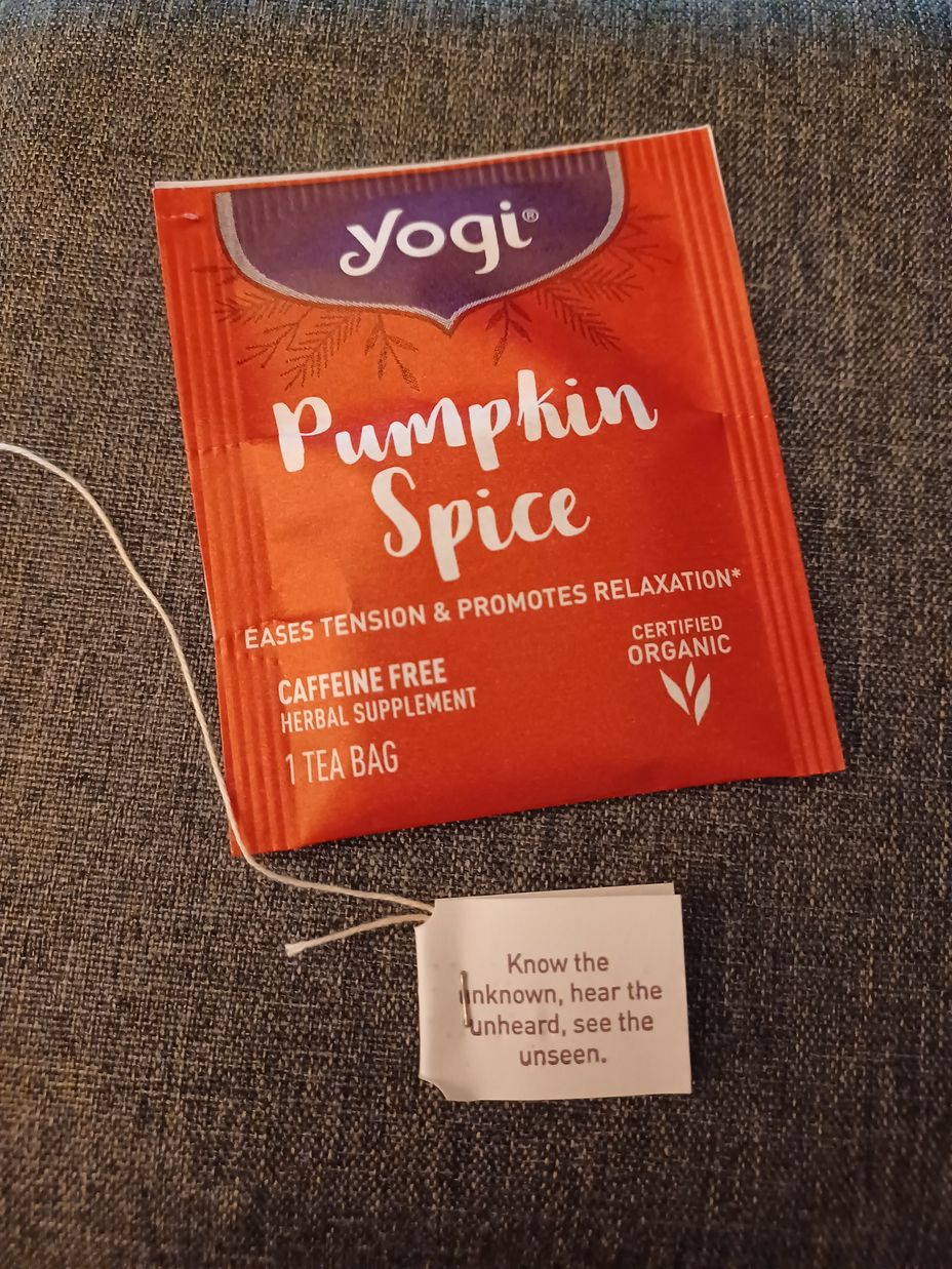 <p>New tea I got from Target a few days ago! SO GOOD! -and I am not usually a pumpkin spice fan!</p>