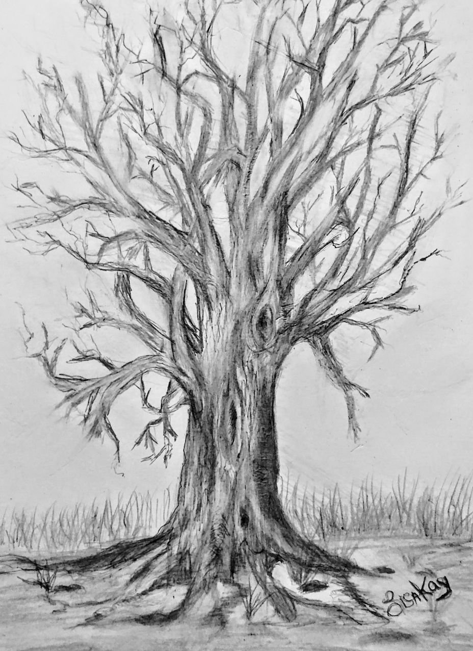 <p>Love painting trees. Not 1 is alike.<br>Just like The Mighty!</p>