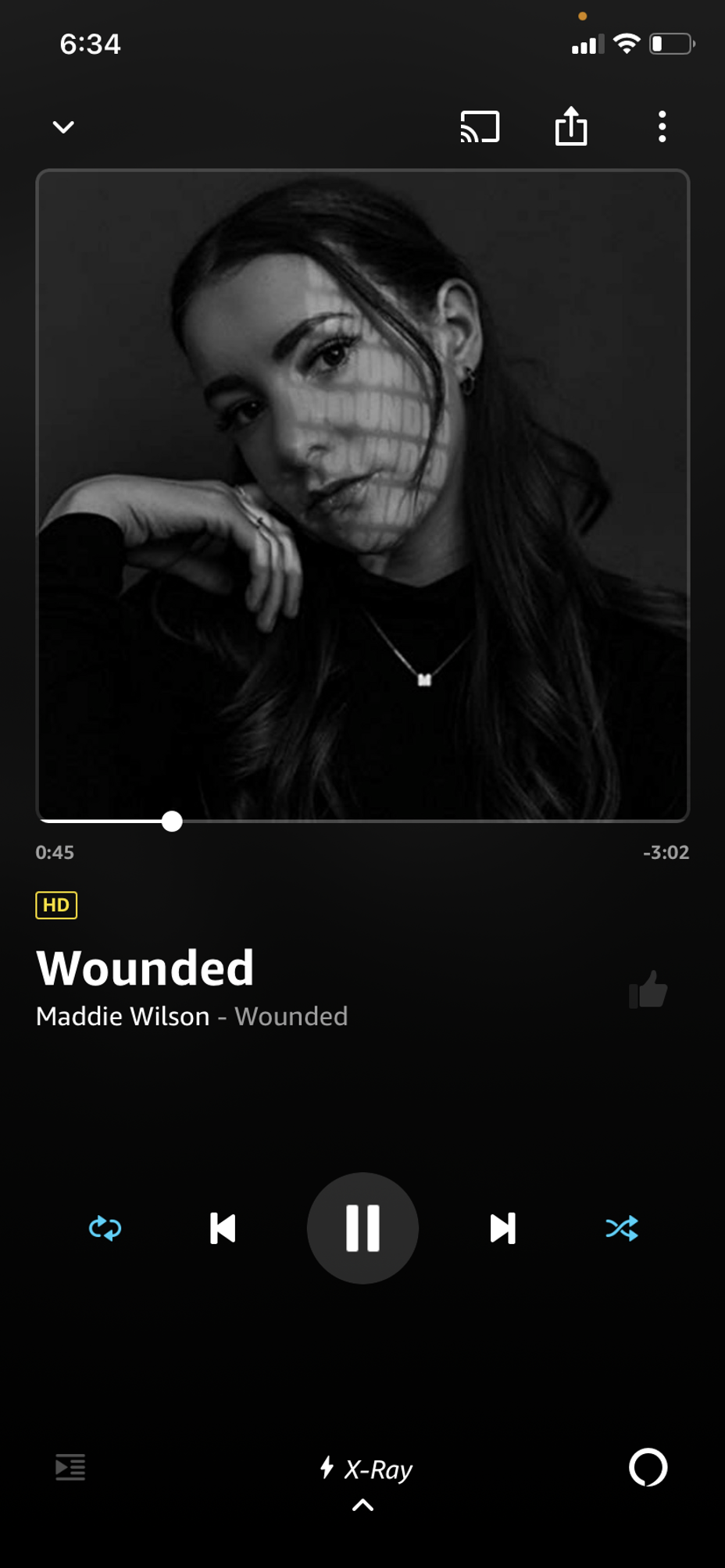 <p>Wounded</p>