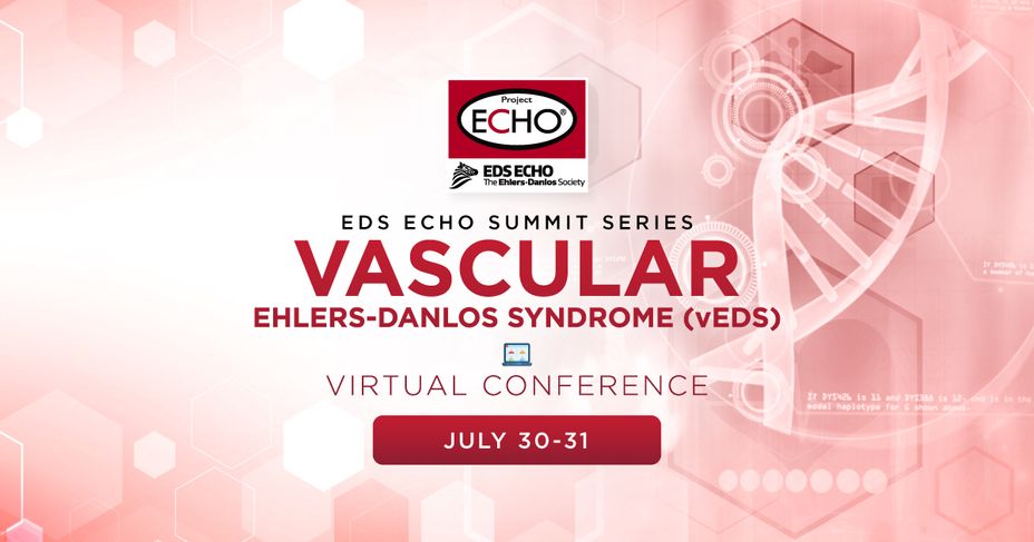 <p>vEDS Virtual Conference</p>