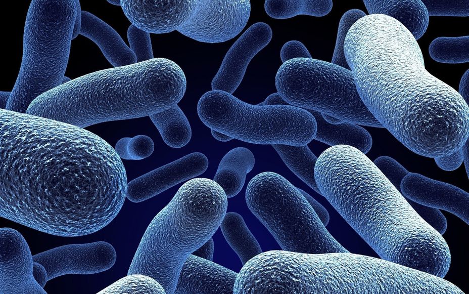 <p>Synthetic Antibiotic Offers New Hope Against Resistant Bacteria</p>