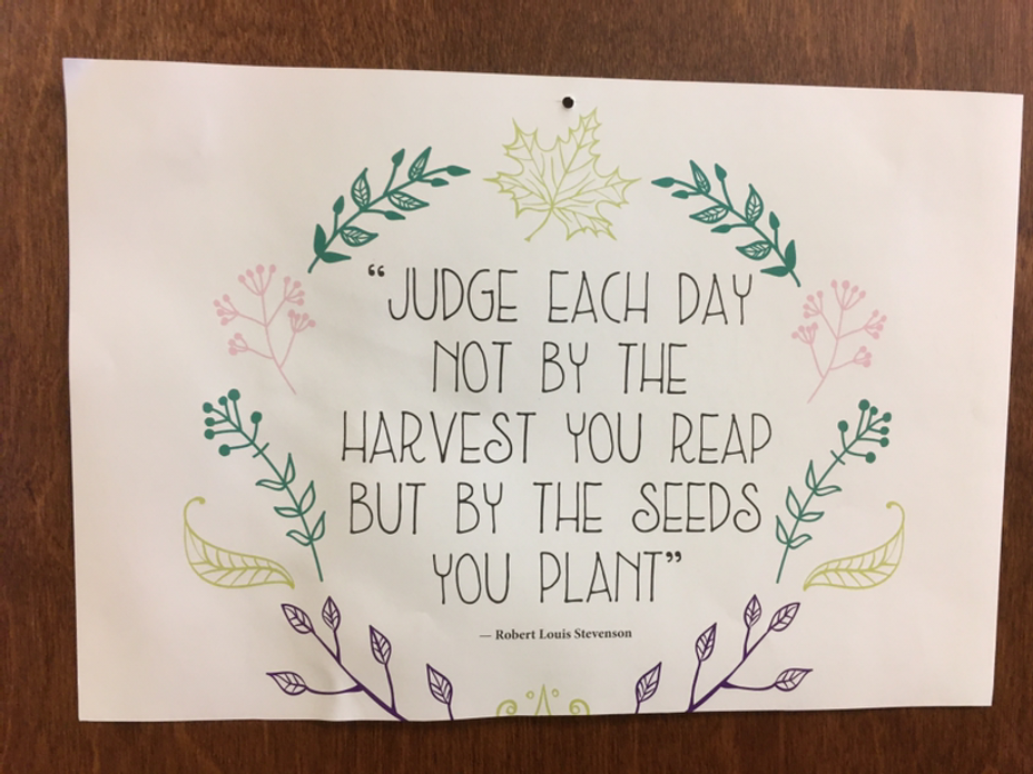<p>plant seeds</p>