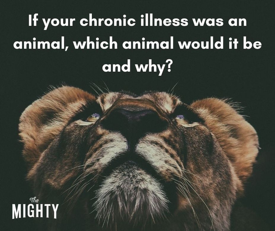 <p>If your <a class="tm-topic-link mighty-topic" title="Chronic Illness" href="/topic/chronic-illness/" data-id="5b23ce6f00553f33fe98fe39" data-name="Chronic Illness" aria-label="hashtag Chronic Illness">#ChronicIllness</a> was an animal, which animal would it be and why?</p>