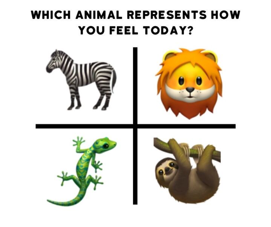 <p>Which animal represents how you feel today? <a class="tm-topic-link mighty-topic" title="Distract Me" href="/topic/distractme/" data-id="5cabee5faf2da400d4e56a41" data-name="Distract Me" aria-label="hashtag Distract Me">#DistractMe</a></p>