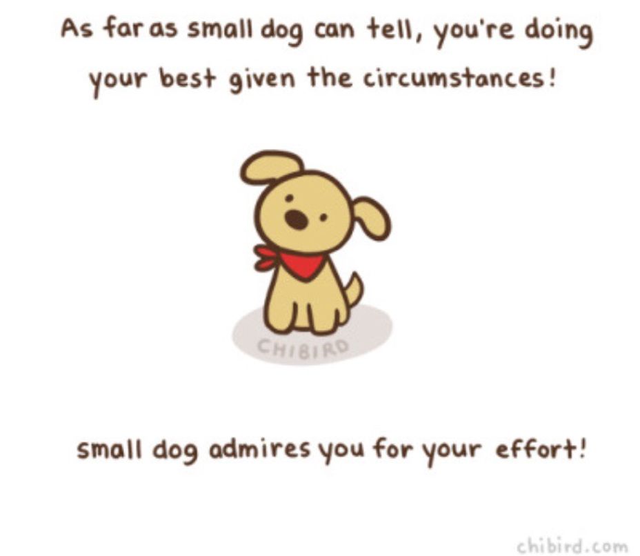 Chibird | The Mighty