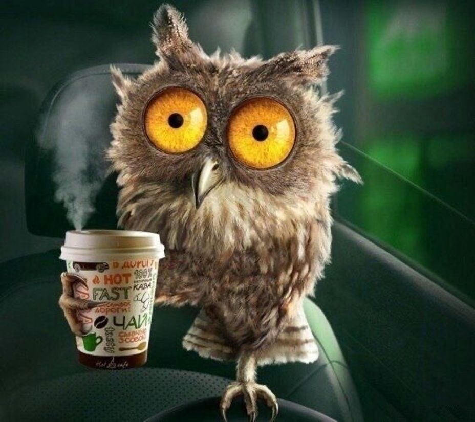 <p>No more coffee, please! I’m up owl nite! 🤣🤣🤣</p>