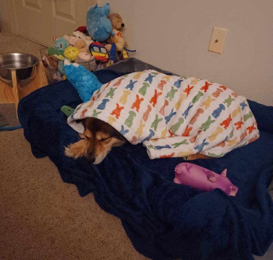 <p>That's super cute little tucked in Lucy Luu pic for you ❤️❤️❤️</p>