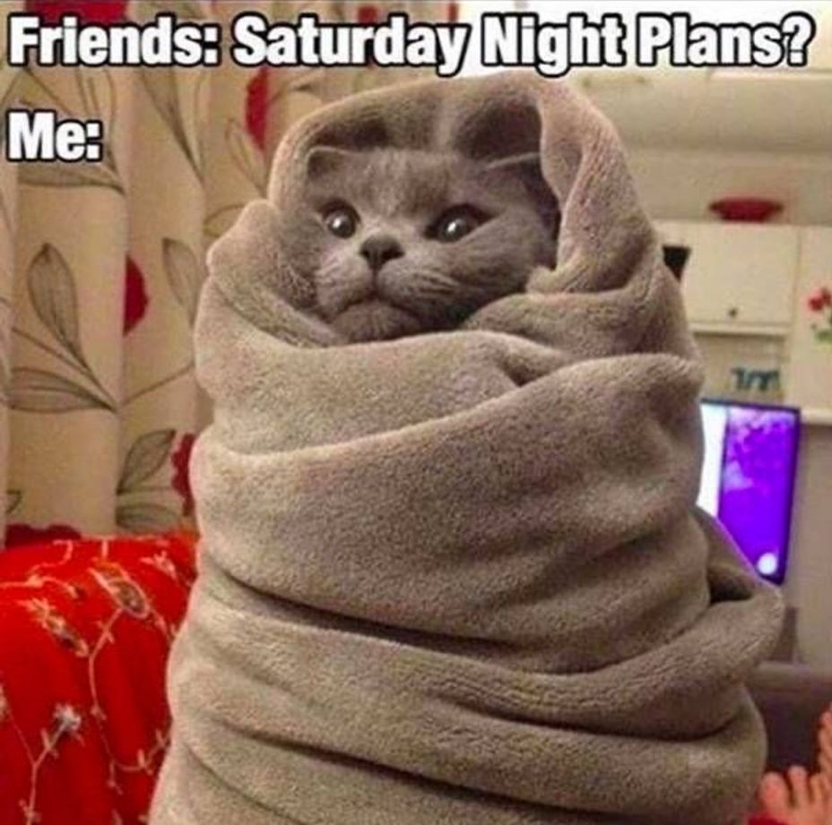 <p>My weekend plan! :-))</p>