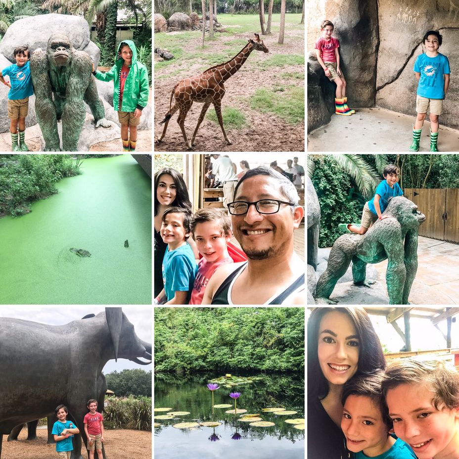 <p>Zoo Time <a class="tm-topic-link mighty-topic" title="Epilepsy" href="/topic/epilepsy/" data-id="5b23ce7c00553f33fe992254" data-name="Epilepsy" aria-label="hashtag Epilepsy">#Epilepsy</a> <a class="tm-topic-link mighty-topic" title="Febrile Infection-Related Epilepsy Syndrome (FIRES)" href="/topic/febrile-infection-related-epilepsy-syndrome-fires/" data-id="5d090d005f0cd600c9409d59" data-name="Febrile Infection-Related Epilepsy Syndrome (FIRES)" aria-label="hashtag Febrile Infection-Related Epilepsy Syndrome (FIRES)">#FebrileInfectionRelatedEpilepsySyndrome</a></p>