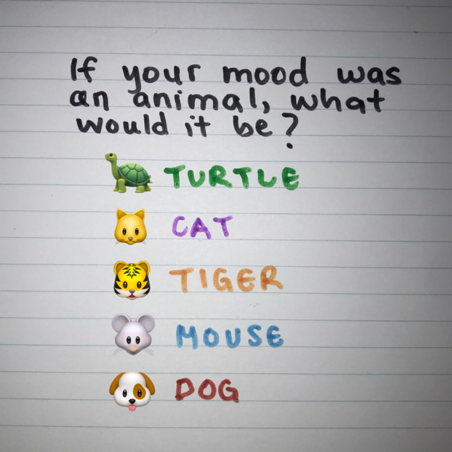 <p>If your mood was an animal, what would it be?</p>