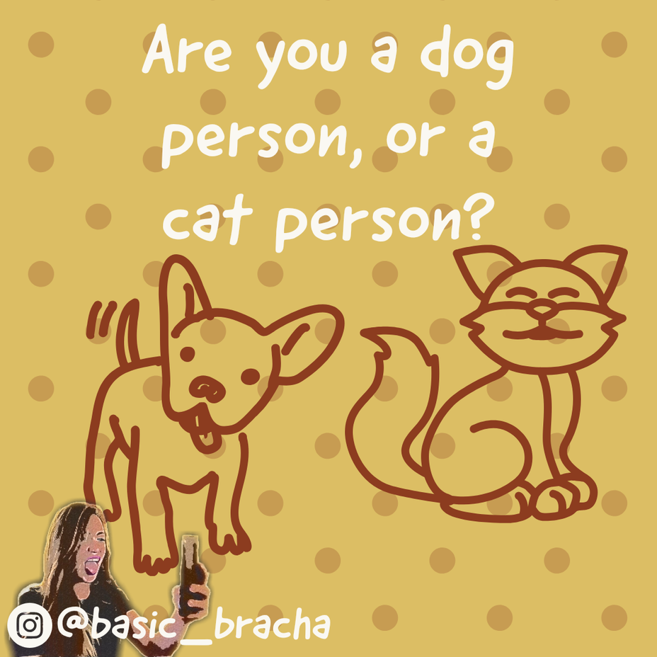 <p>Are you a dog person, or a cat person?</p>