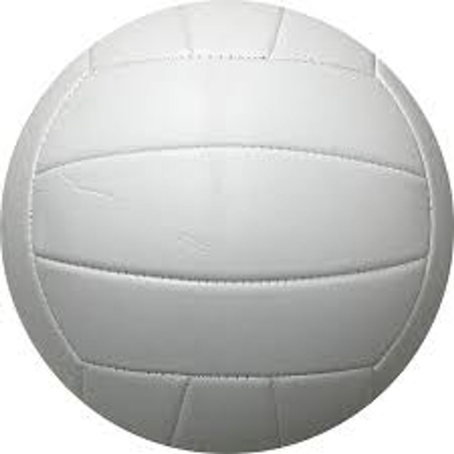 <p>Volleyball</p>