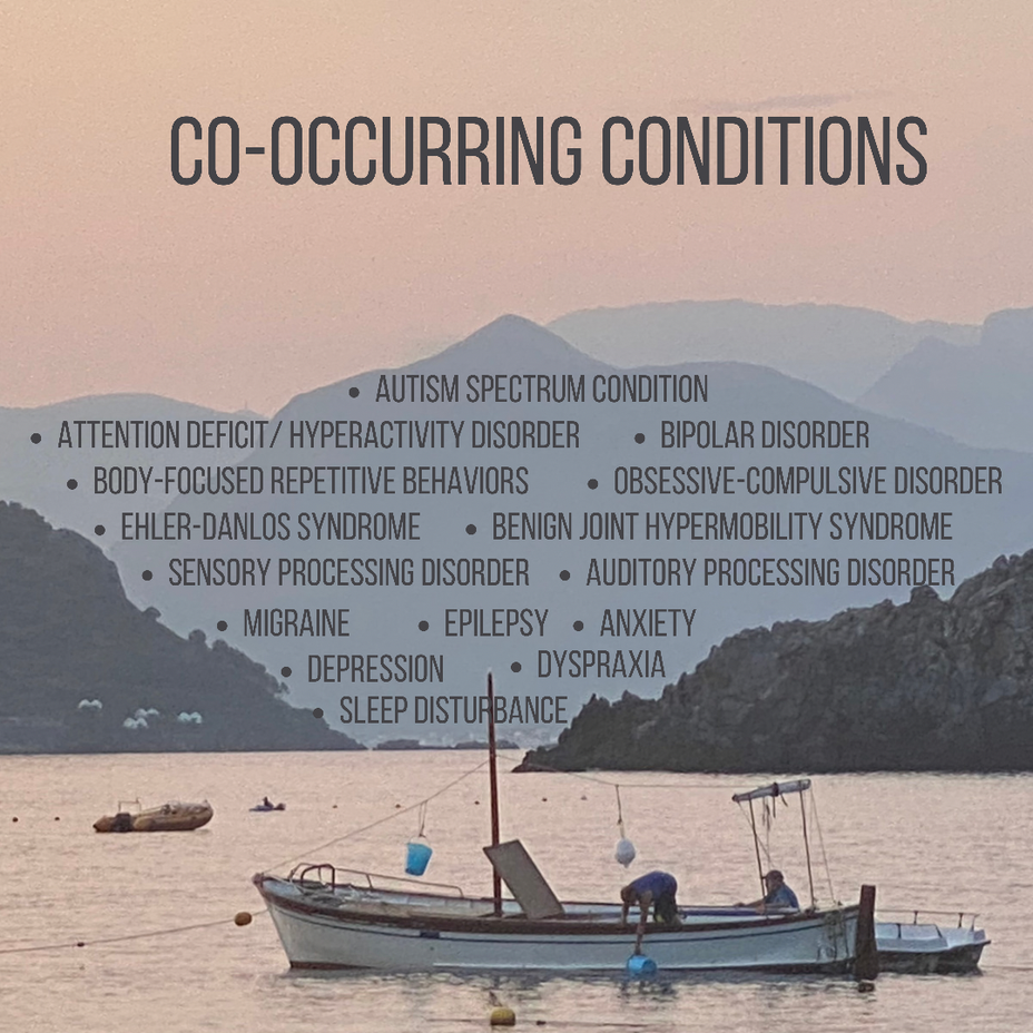 <p>Co-Occurring Conditions</p>