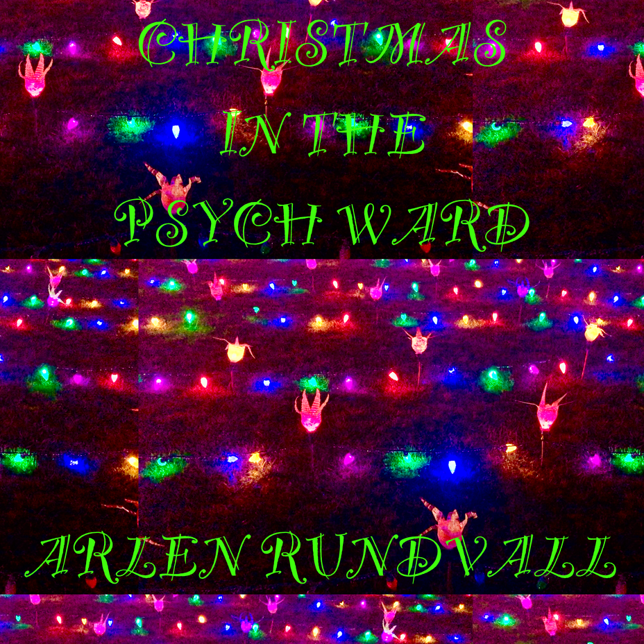 <p>"Christmas in the Psych Ward" Song just released</p>