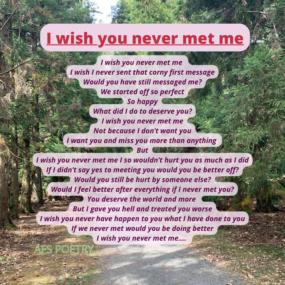 <p>I wish you never met me</p>