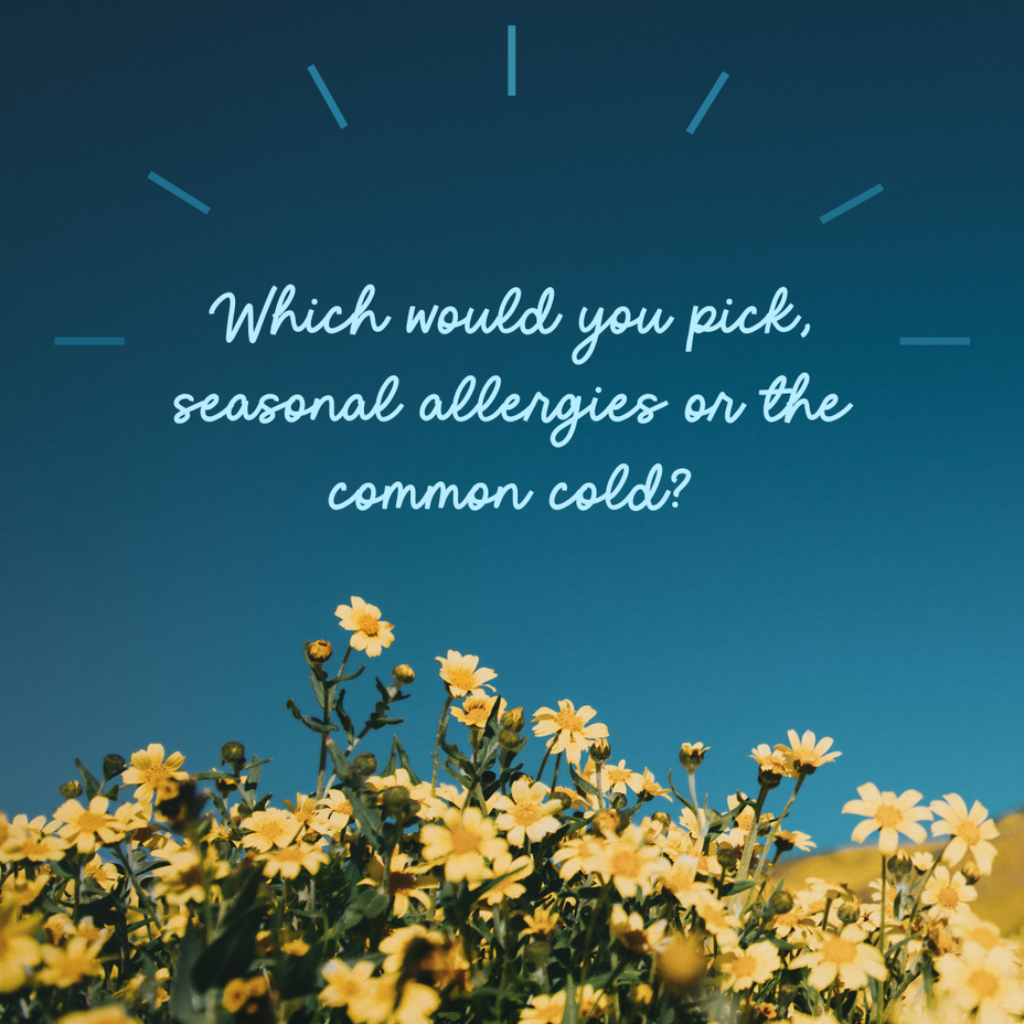 <p>Which would you pick, seasonal allergies or the common cold?</p>