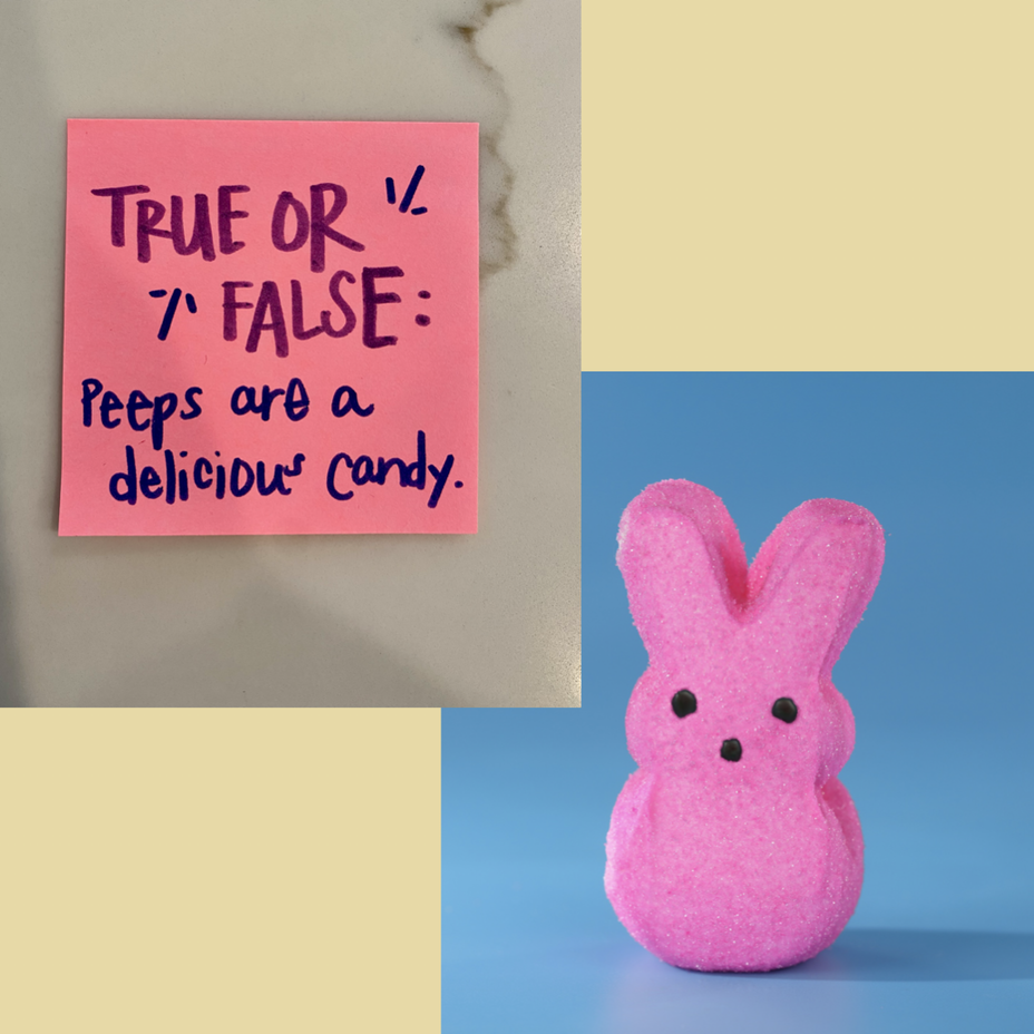 <p>TRUE or FALSE: Peeps are a delicious candy.</p>