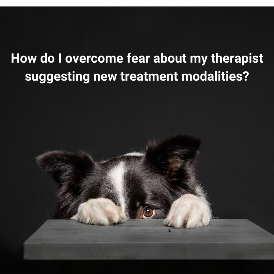 <p>How do I overcome fear about my therapist suggesting new treatment modalities?</p>