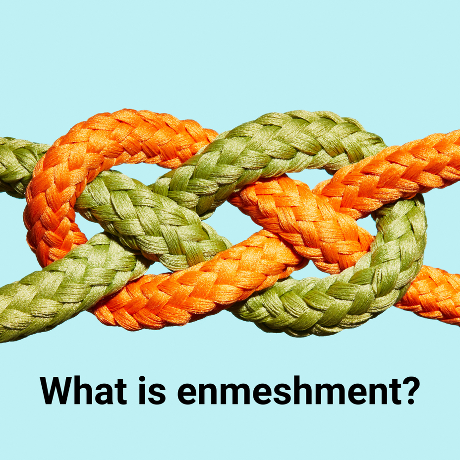<p>What is enmeshment?</p>