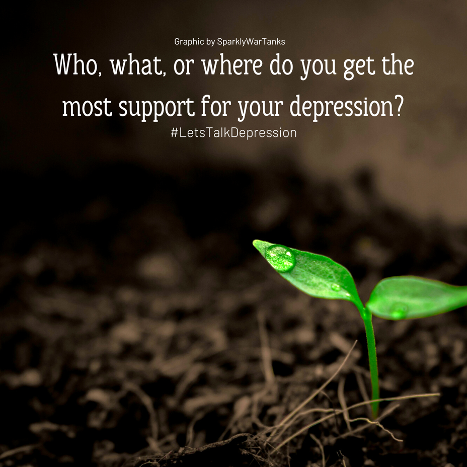 <p>Who, what, or where do you get the most support for your depression?</p>