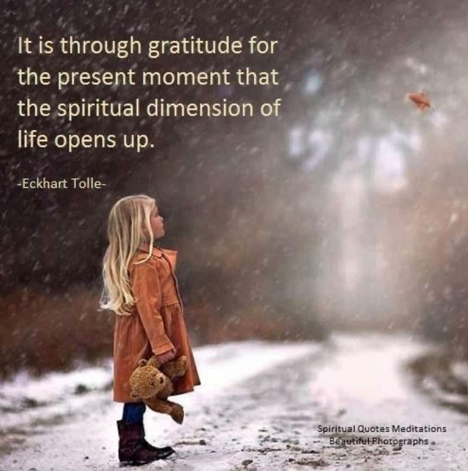 <p>Gratitude</p>